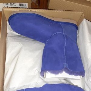 Brand New in the box Bailey Button Uggs!